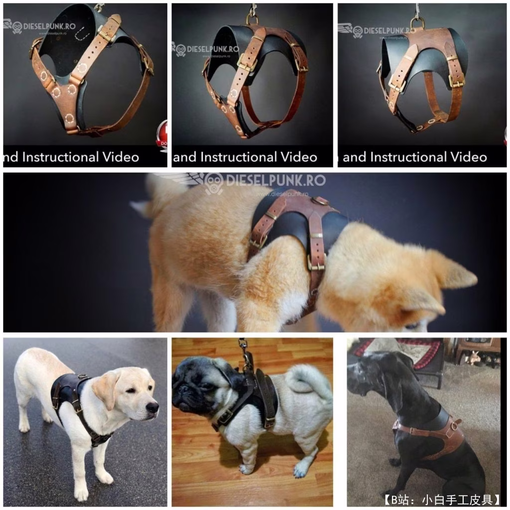 DieselpunkRo 的免费版型狗背带 - 6